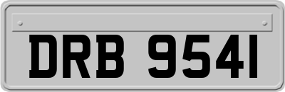 DRB9541