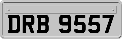 DRB9557