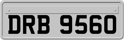 DRB9560