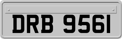 DRB9561