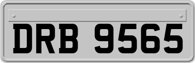 DRB9565