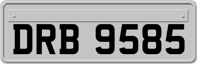 DRB9585