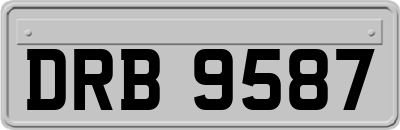 DRB9587