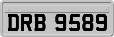 DRB9589