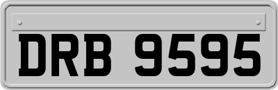 DRB9595