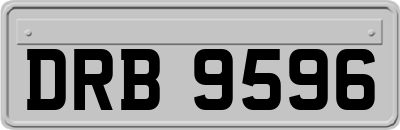 DRB9596