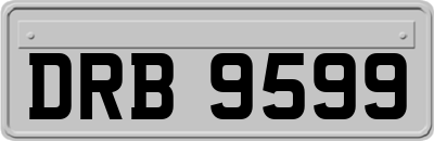 DRB9599