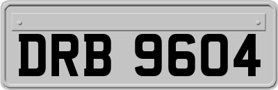 DRB9604