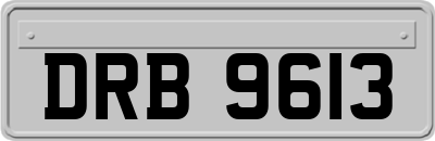 DRB9613