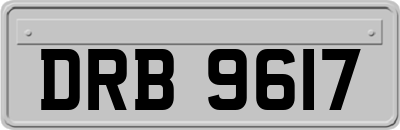 DRB9617