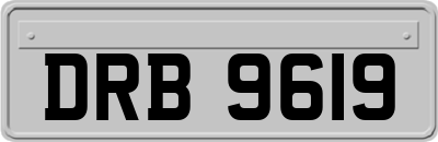DRB9619