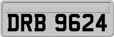DRB9624