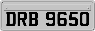 DRB9650