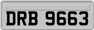 DRB9663