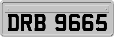 DRB9665