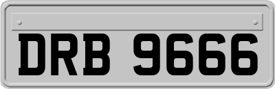DRB9666