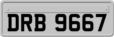DRB9667