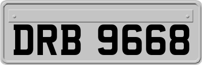 DRB9668