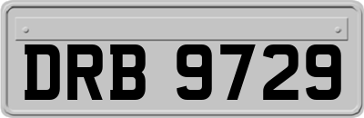 DRB9729