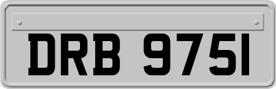 DRB9751