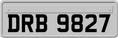 DRB9827