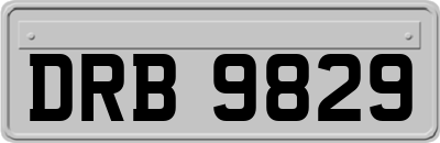 DRB9829