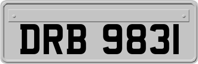 DRB9831