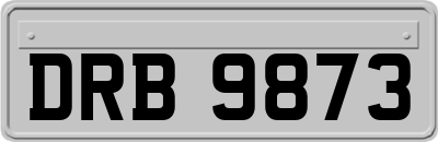 DRB9873