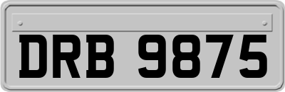 DRB9875