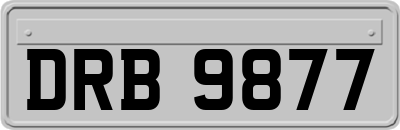 DRB9877