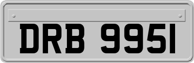 DRB9951