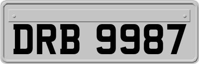 DRB9987