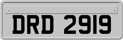 DRD2919