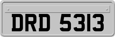DRD5313