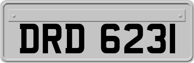 DRD6231