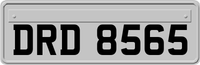 DRD8565