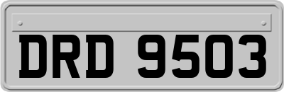 DRD9503