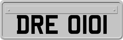 DRE0101