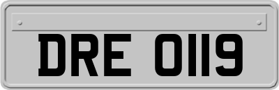 DRE0119