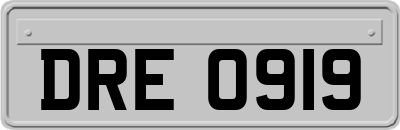 DRE0919