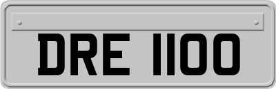 DRE1100