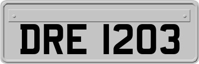 DRE1203