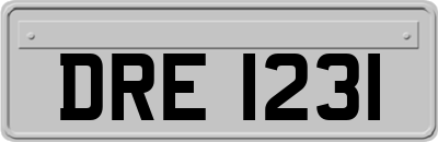 DRE1231