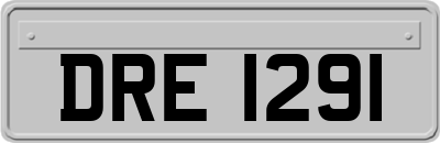 DRE1291