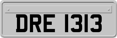 DRE1313