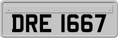 DRE1667