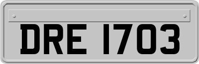 DRE1703