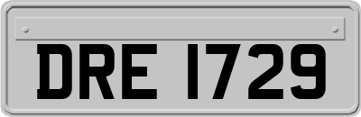DRE1729