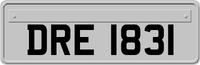 DRE1831