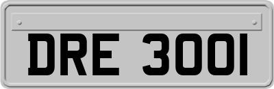 DRE3001
